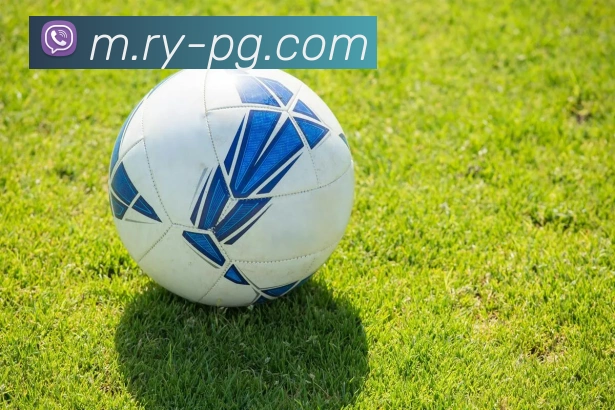 App 展示图